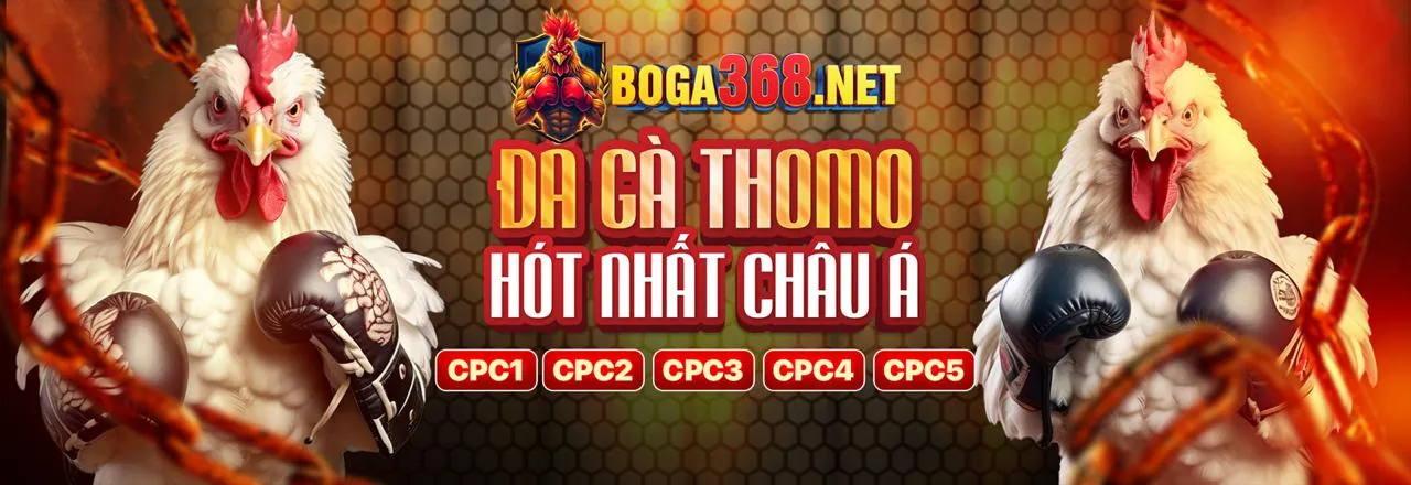 Các công cụ tự trợ giúp của xo88 đăng nhập